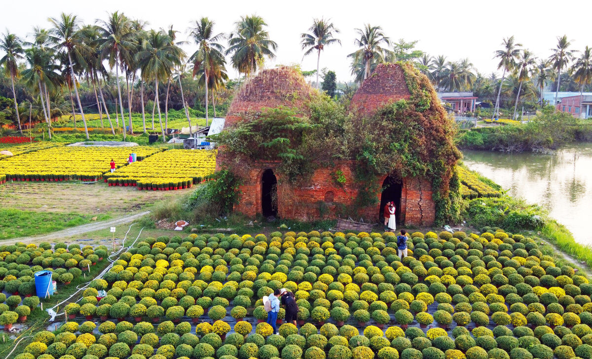 Learn Ben Tre’s traditions with expert guidance